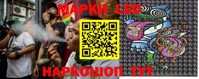 крисы Аргун