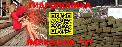 крисы Аргун