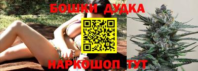 крисы Аргун